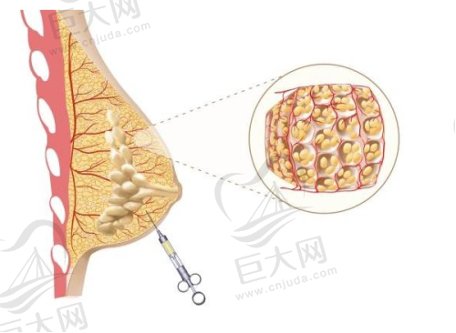 北京京通医院整形美容科擅长项目