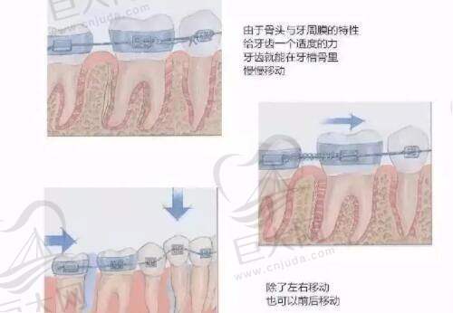 结论与建议