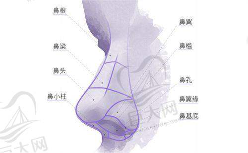 发展历程与规模