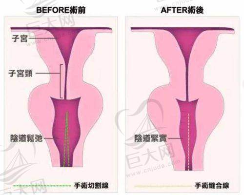 收费价格