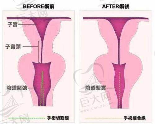 顾客评价与口碑