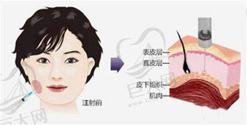 顾客体验与评价