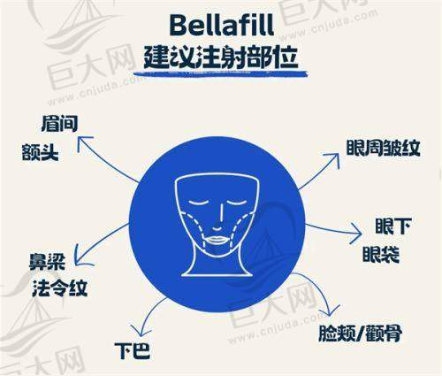 可能存在的潜在风险与应对措施