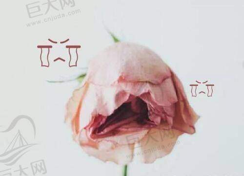 北海韩美医疗美容门诊部的理念与职责