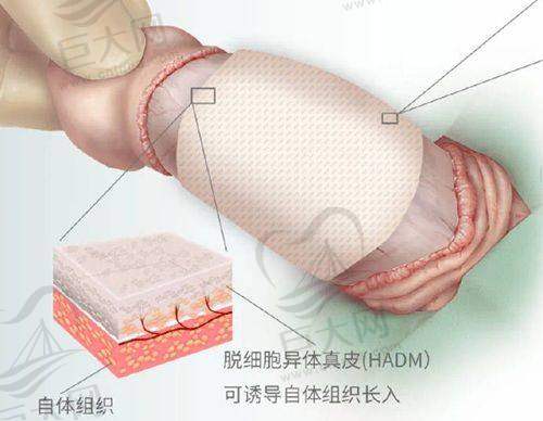 科室设置与特色