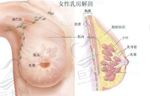 顾客口碑反馈