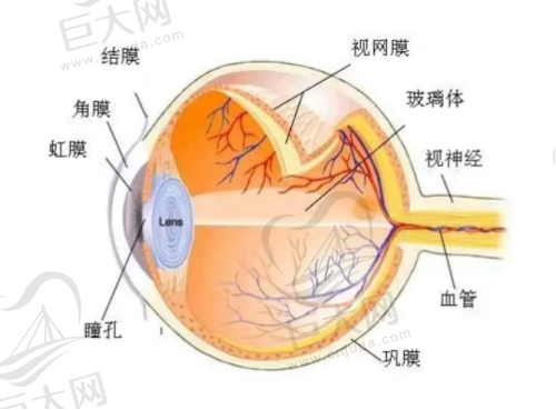 商丘眼科医院哪家最好？排名靠前的医院有哪些？商丘尖峰眼科医院是二级靠谱医院，有杨德胜医生坐诊
