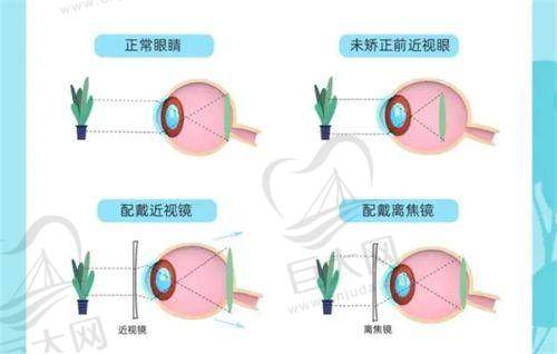 长春普瑞眼科医院综合情况