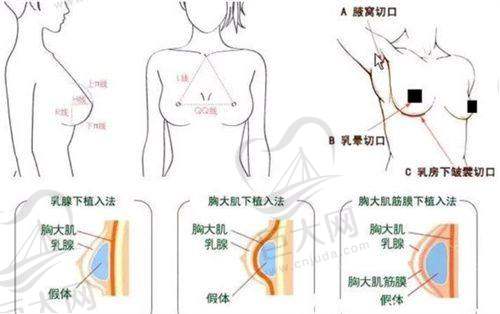 综合医院兼顾皮肤美容