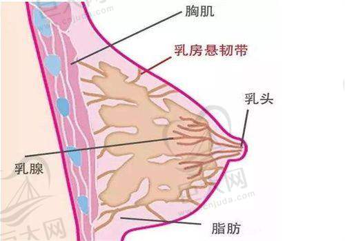 科室设置全方面专精