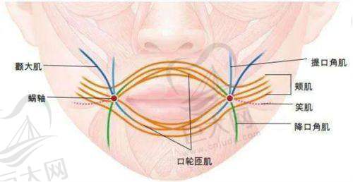 福建省立医院特色突出