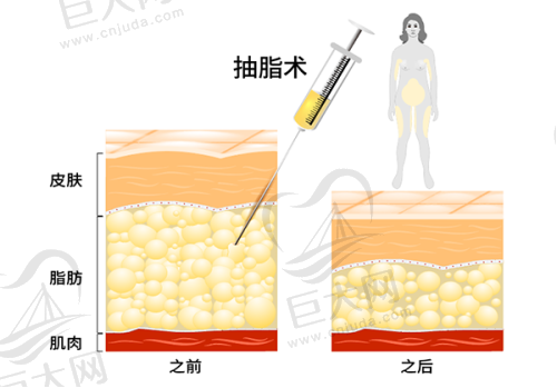 项目价格合理多样