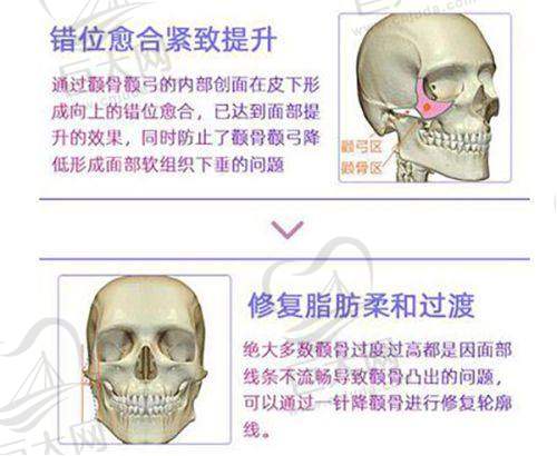 开展项目丰富多样