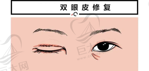 医生团队专精
