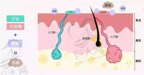 上海华美医生团队强大