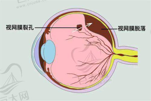 口碑疗效广受好评