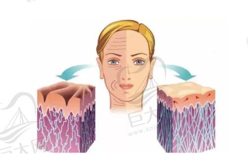多样热门项目及实惠价格