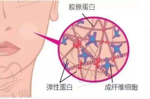 润致与其他水光产品对比