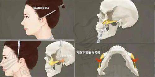价格体系合理，性价比高