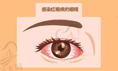 综合优势值得选择