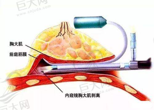 价格参考与预约方式