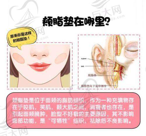 网友评价