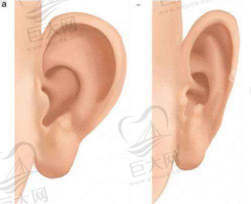 诊所的项目类型