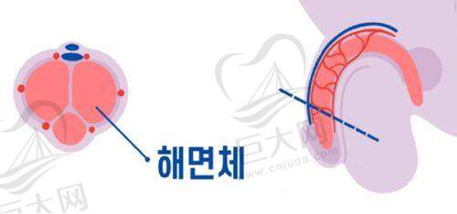 主打项目之眼鼻五官精细整形