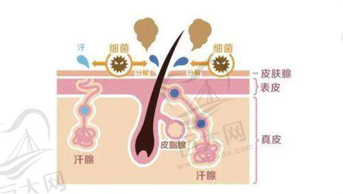 双眼皮修复实例
