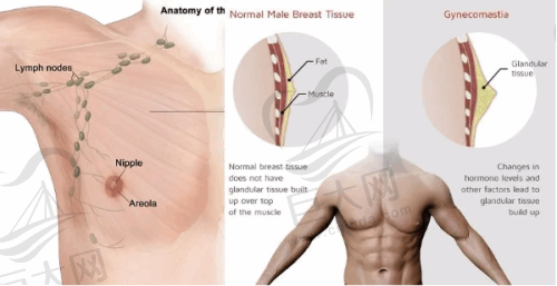 整形项目收费参考