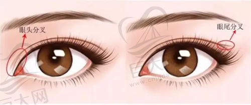 其他特色项目收费